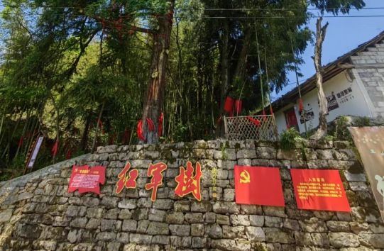 微信截图_20240531105944.jpg
